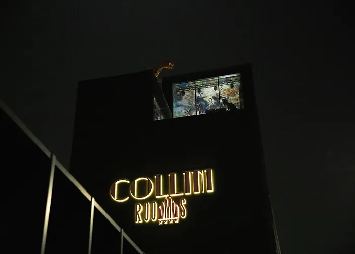 Collini Rooms